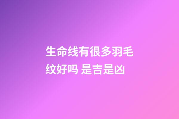 生命线有很多羽毛纹好吗 是吉是凶